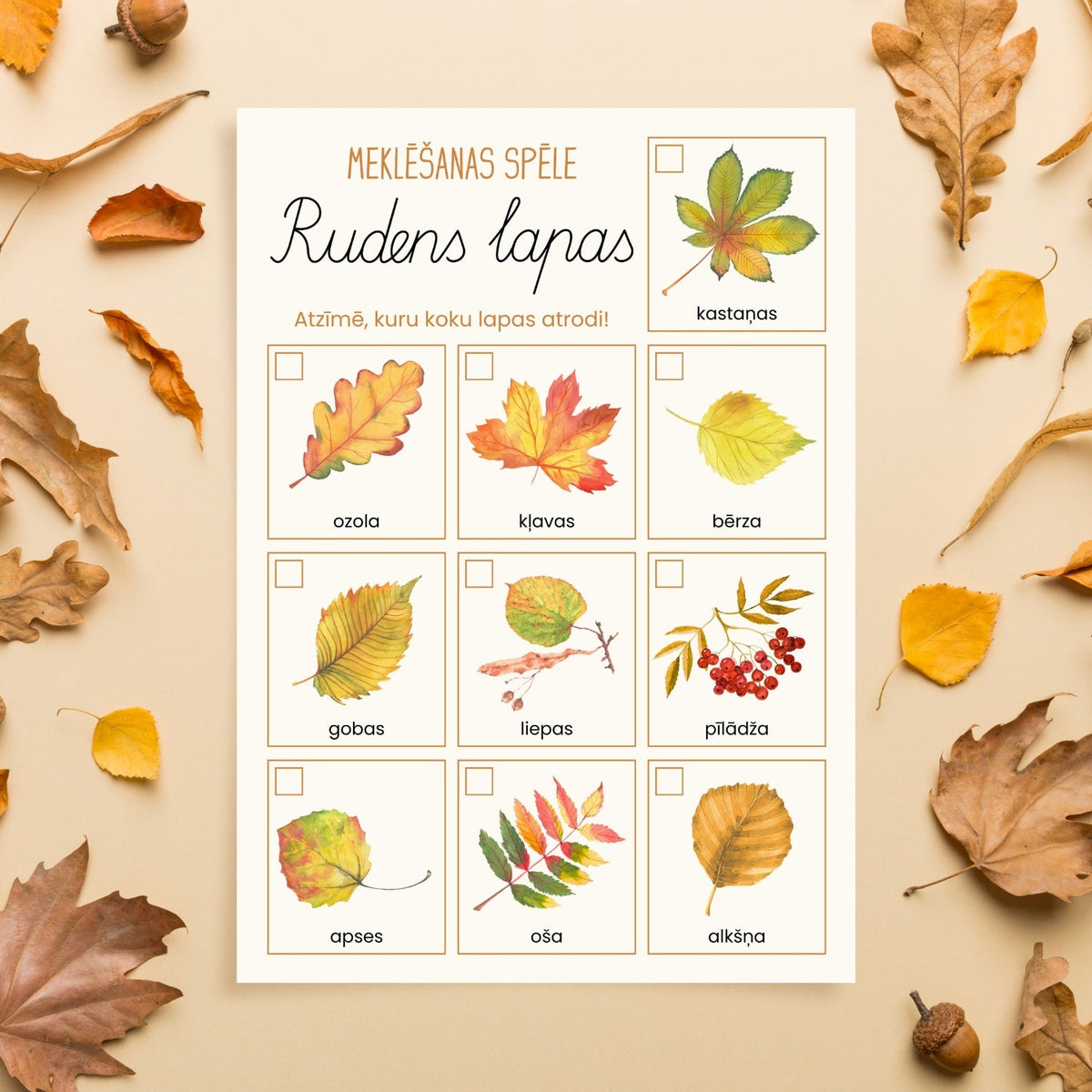 Rudens lapas - meklēšanas spēle baltaita mācību materiāli